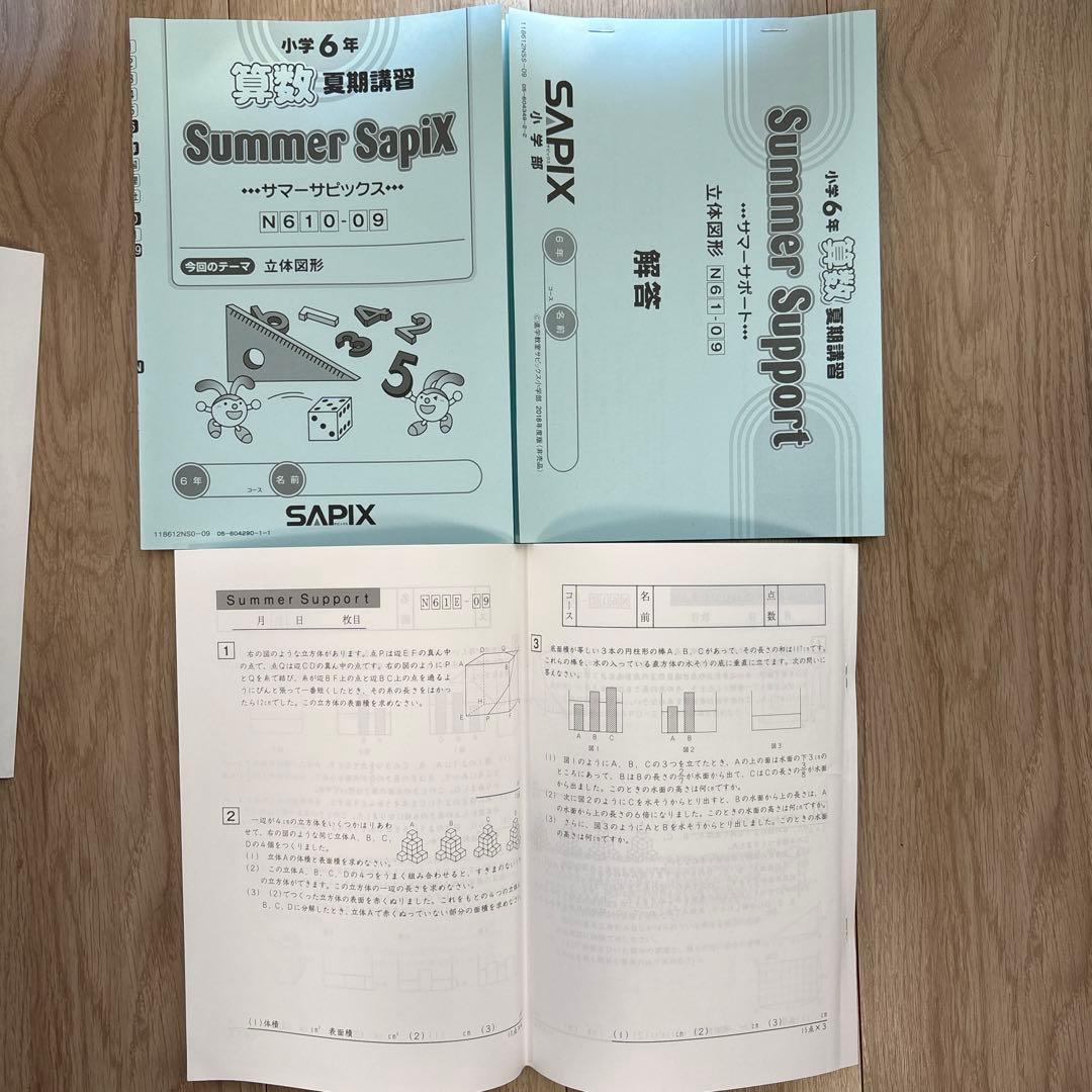 Spring Daily Summer SapiX 6年 算数 1年分