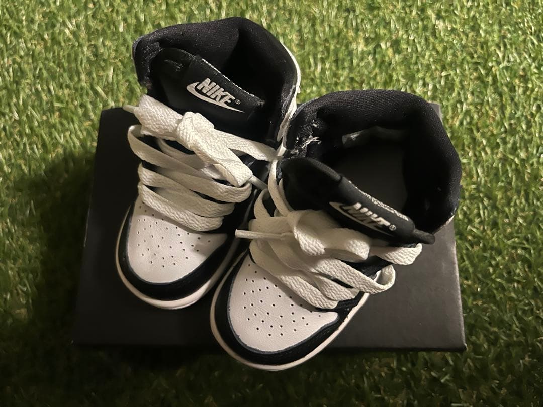 ちゃみ　jordan1 retro high og td