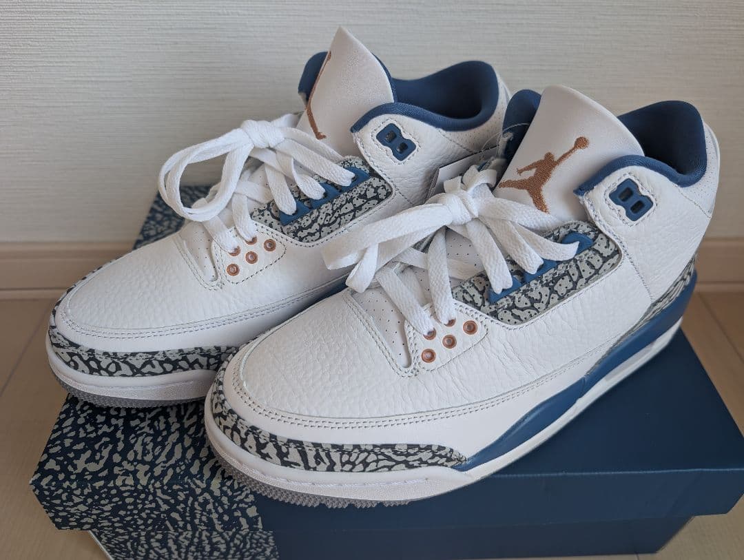 本日限り！新品未使用Air Jordan 3 ウィザーズ　25cm