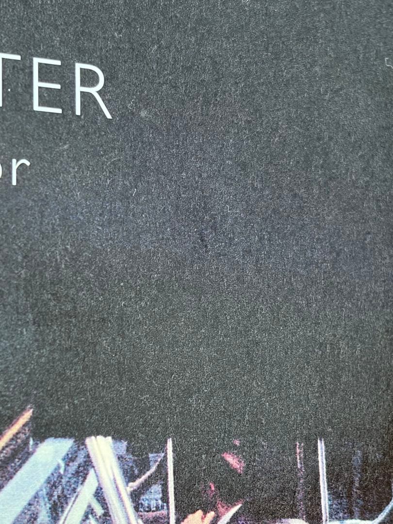 SAUL LEITER / Early Color 8th ソール•ライター