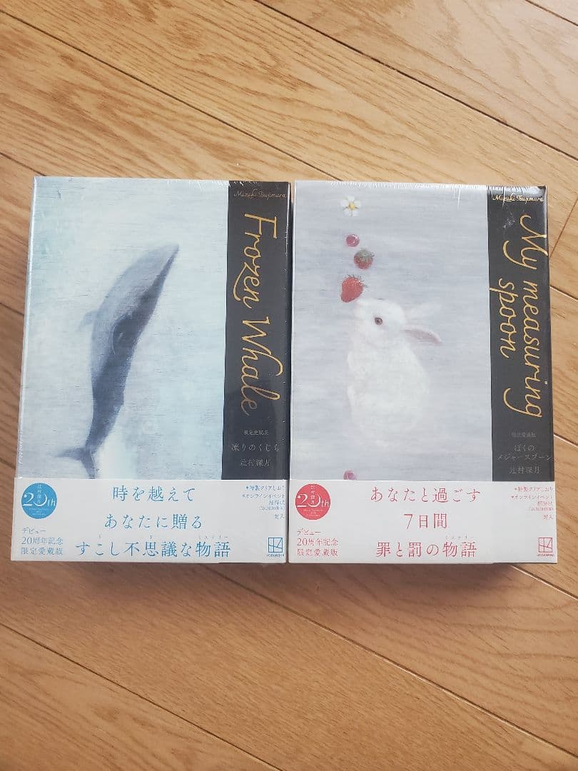 作家辻村深月さんの 限定愛蔵版 凍りのくじら ぼくのメジャースプーン の未開封