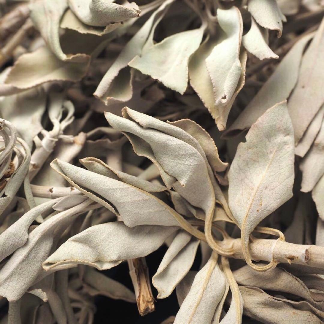 ★特選再入荷★無農薬カリフォルニア産【箱配送500g高品質ホワイトセージ】❤️