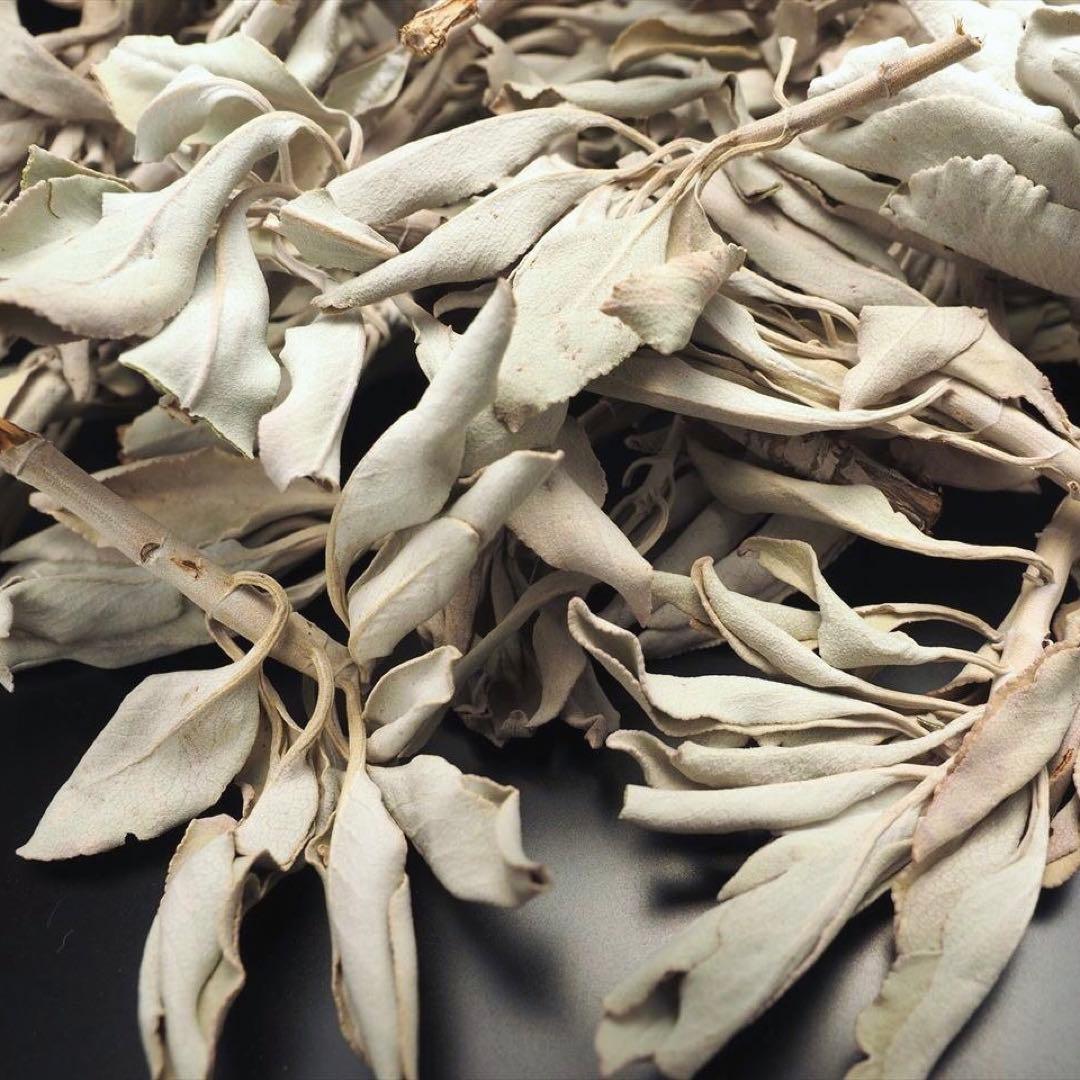 ★特選再入荷★無農薬カリフォルニア産【箱配送500g高品質ホワイトセージ】❤️