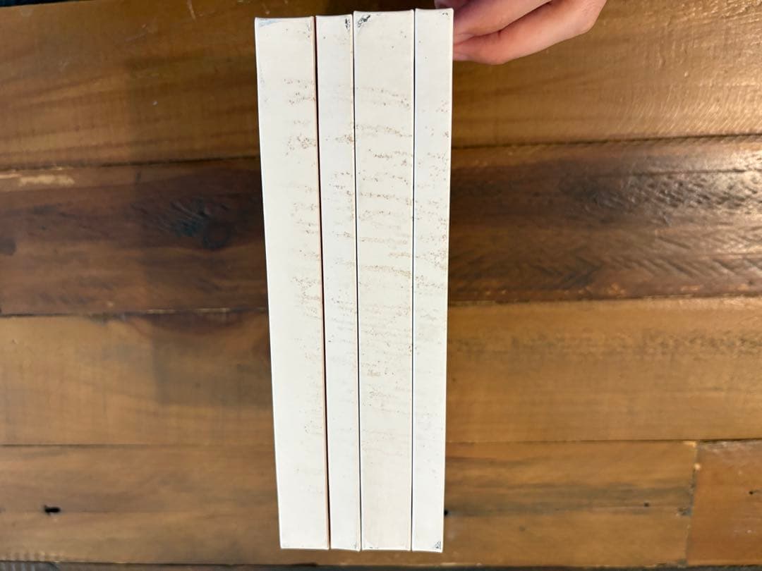 THEE MICHELLE GUN ELEPHANT DVD 12枚組