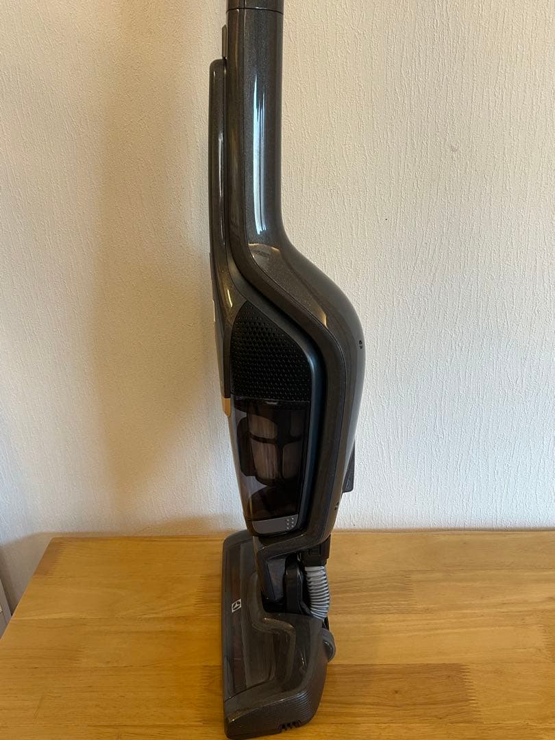 Electrolux エレクトロラックス 掃除機 ZB3502IGA