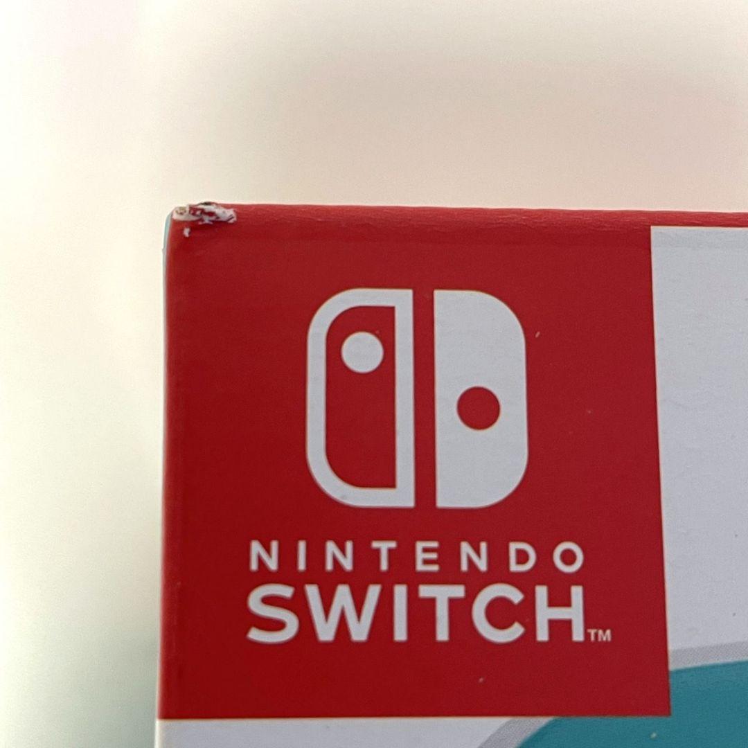 新品未使用 Nintendo SwitchLight スイッチライト セット