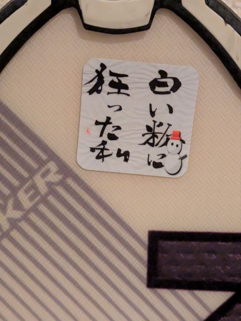 サロモン スキー板 enduro LX750R