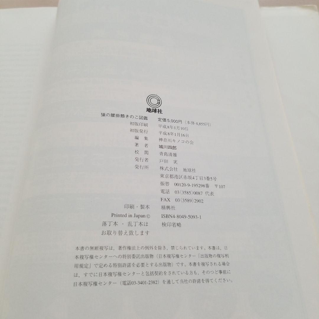 猿の腰掛け類　きのこ図鑑