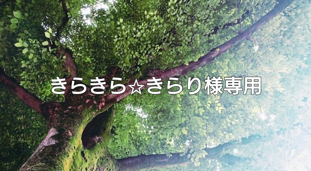 きらきら☆きらり✨特典付電磁波防止✨本物CMCペンダントUSA版4本お値引