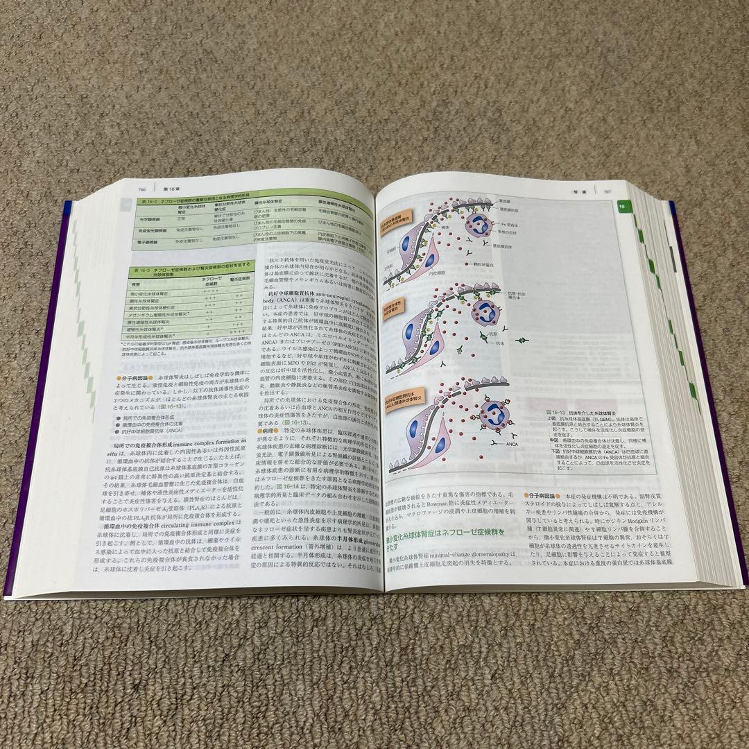 ルービン病理学 改訂版(未使用に近い)