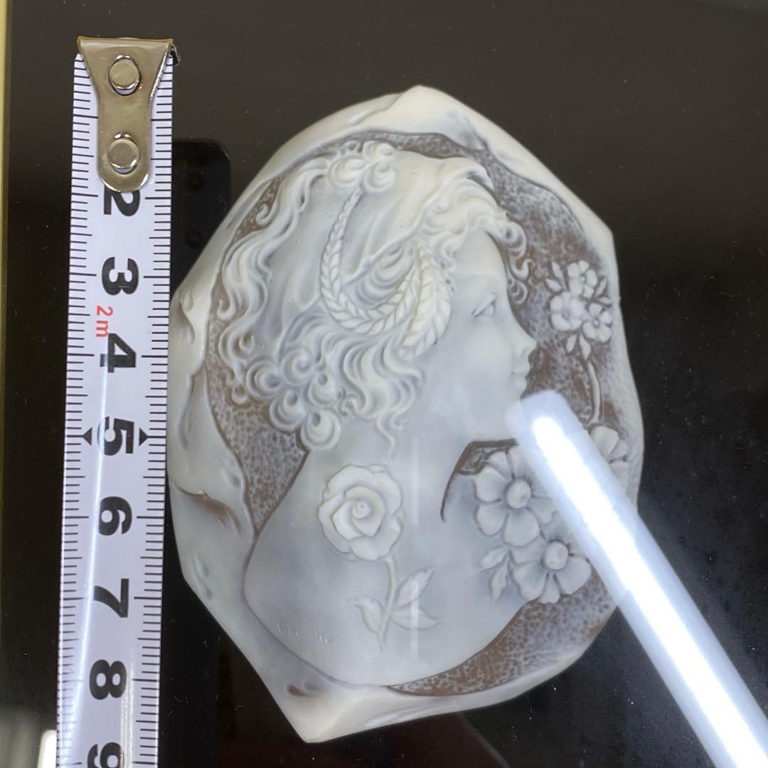 超特大　在銘　シェルカメオ　額装　トヒサコ　東さ7-1031☆1F