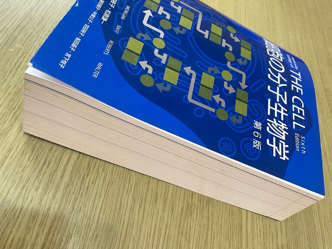 Molecular Biology of THE CELL 第6版