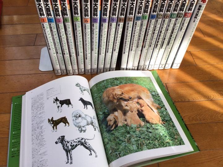 動物大百科　全20巻＋別冊(恐竜) 平凡社