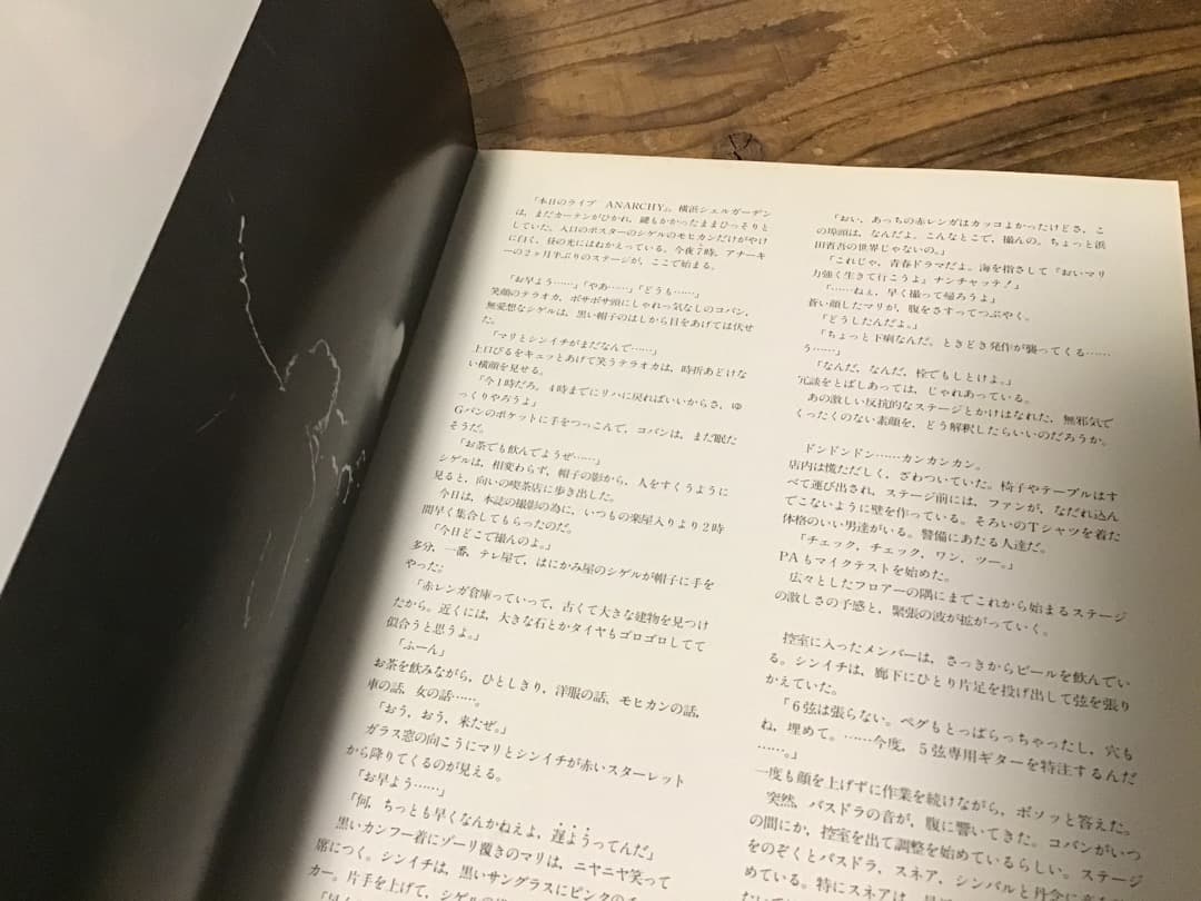 ★バンドスコア&写真集/アナーキー/アナーキズム/タブ譜