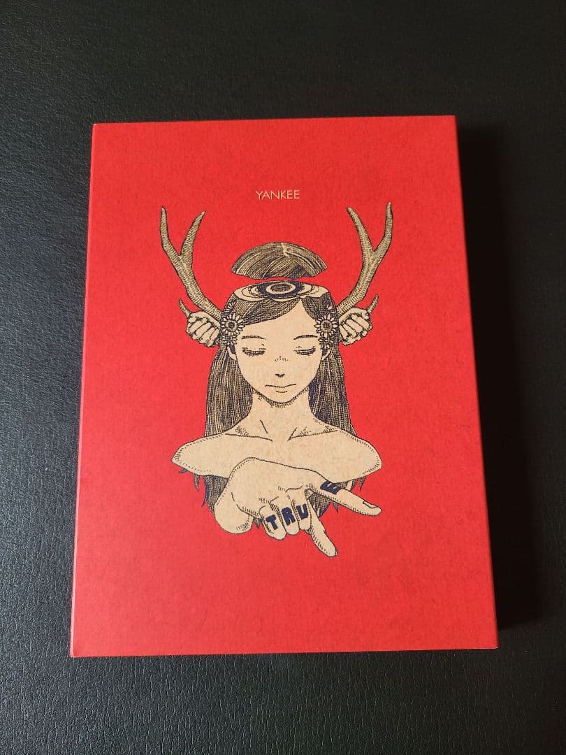 【初回限定盤】米津玄師 YANKEE 画集盤