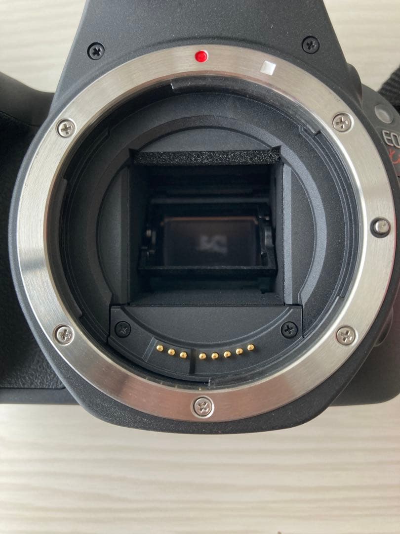 Canon EOS Kiss X9 ダブルレンズ＋おまけ多数 フルセット