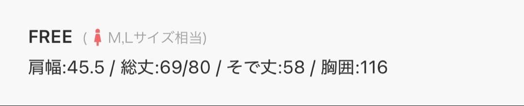 美品★ BEARDSLEY ビアズリー Tブラウス ホワイト