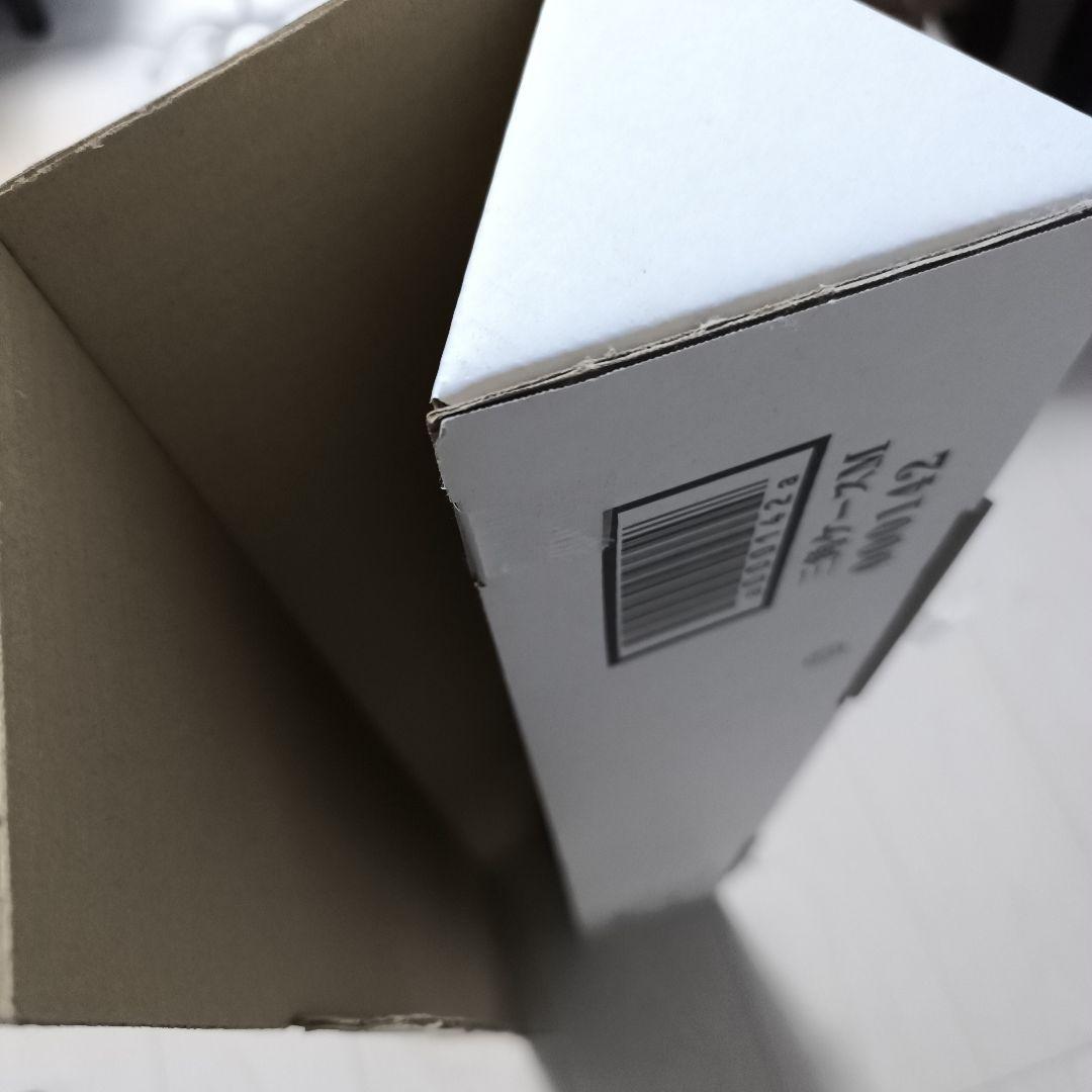 中野たむ上谷沙弥　B2ポスター スターダム STARDOMスターライトキッド小波