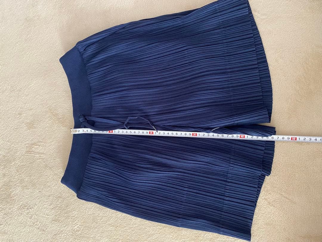 プリーツプリーズ