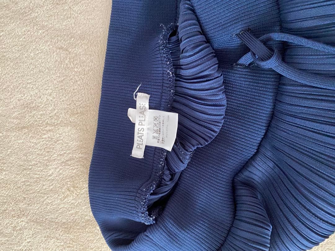 プリーツプリーズ