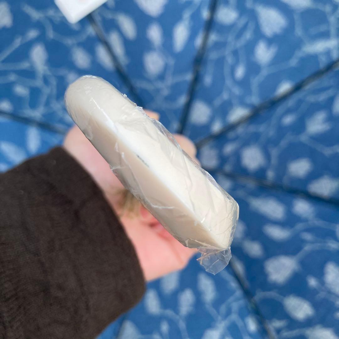 イイダ傘店　日傘　モクレン　定価約3.7万　日焼けあり