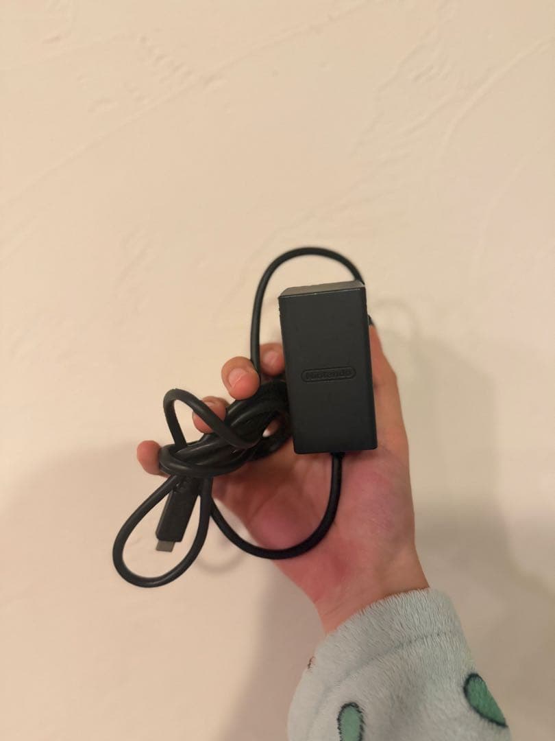 Nintendo Switch Lite ターコイズ充電器付き