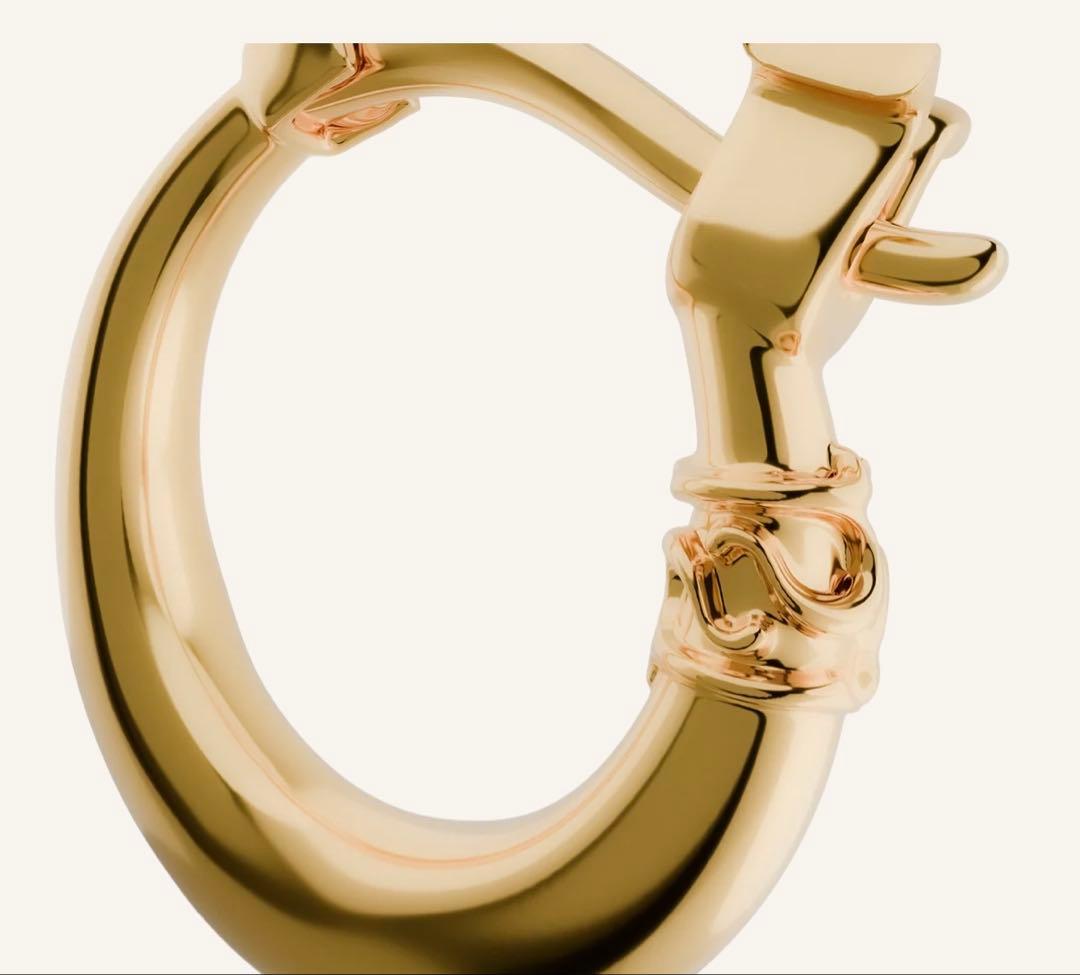 Pointless Journey ゴールド ピアス