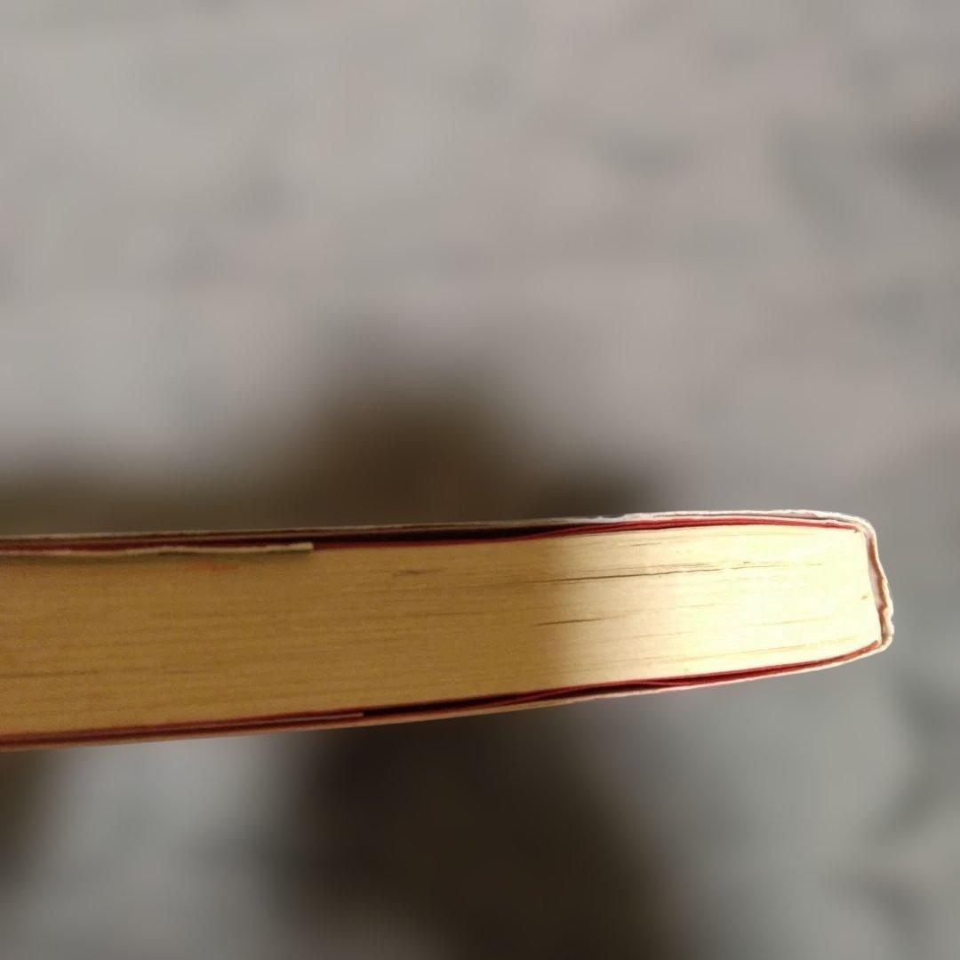 パドックは頭、首で見よ! : あなたはパドックだけで馬券が買えるか