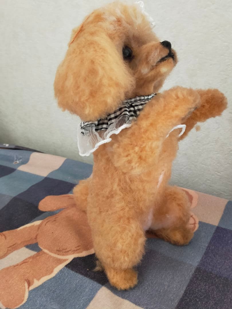 シュリママ♡トイプードルちゃんちょうだいポーズ。直立。おまけ付き♡