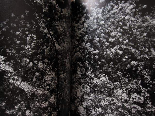 ANGO　森山大道　Daido Moriyama　直筆サイン入り