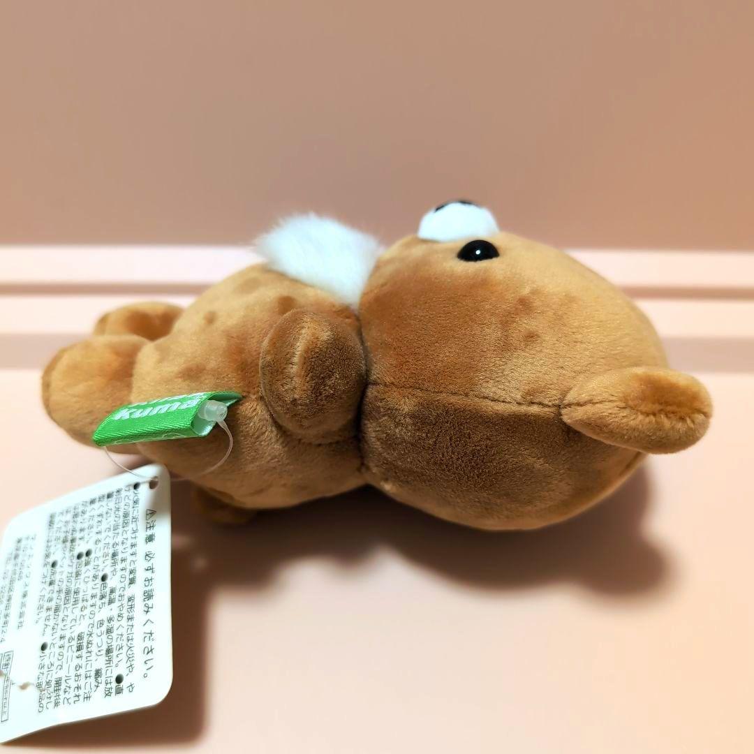 サンエックス　ぽてっと　ぬいぐるみ　チャイロイコグマ