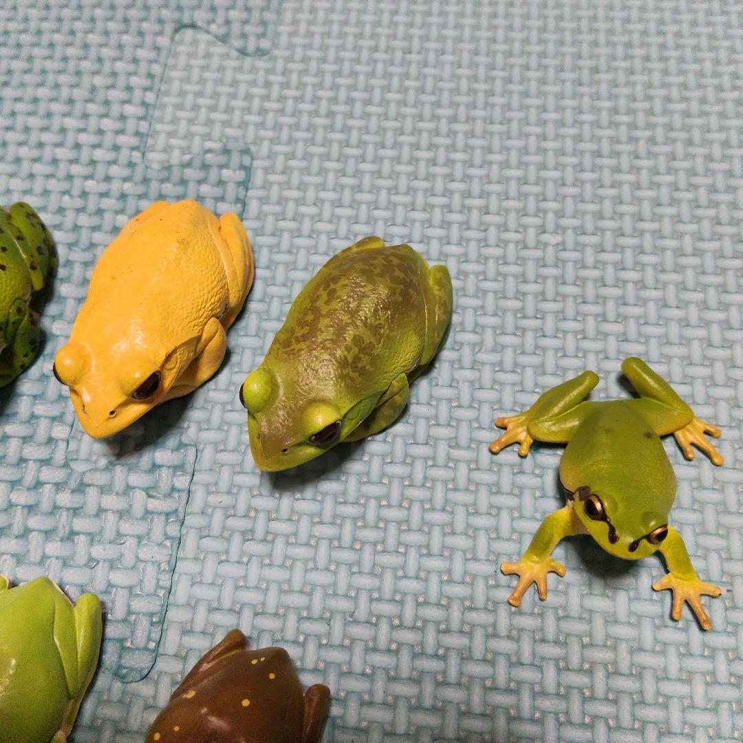 カエル　フィギュア　マグネット