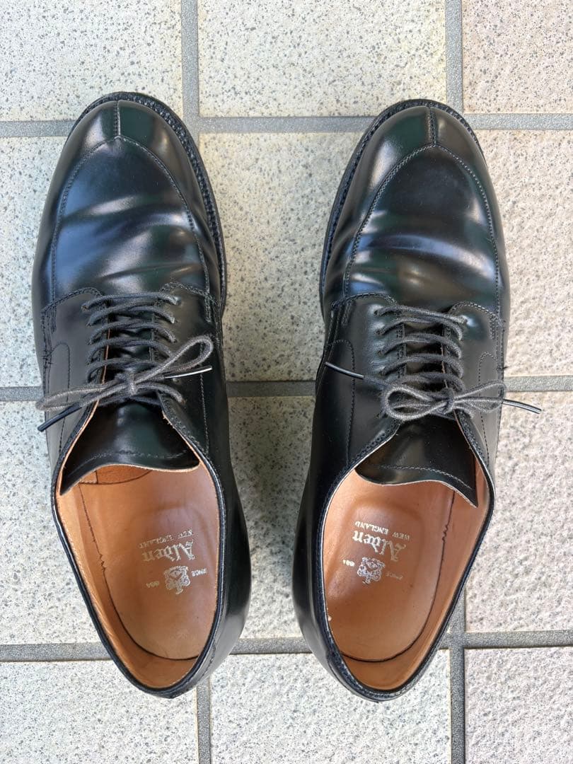 ALDEN オールデン　Vチップ　コードバン　54331 ブラック　US 8D