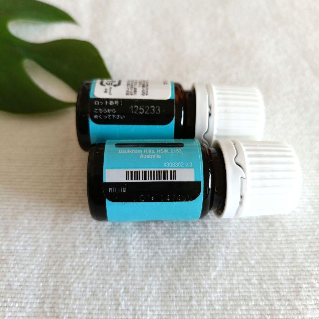 ヤングリビングエッセンシャルオイル ブルーサイプレス 5ml×2本セット