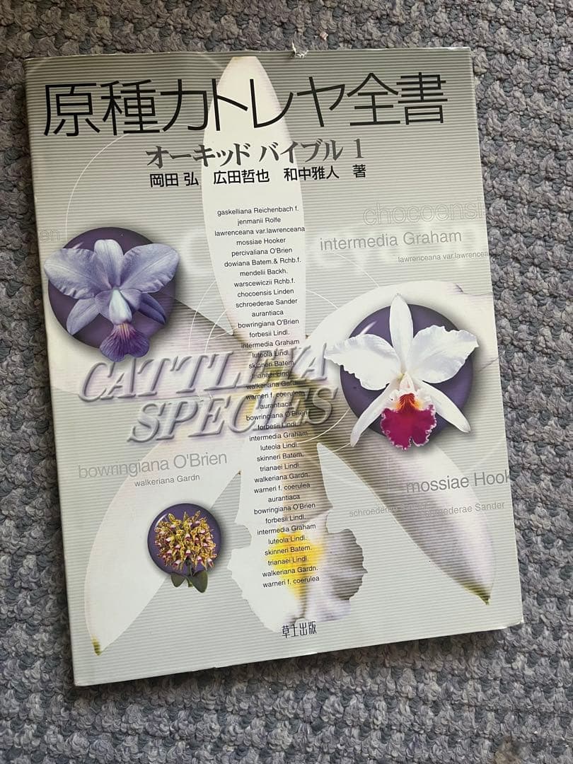 原種カトレヤ全書 オーキッドバイブル 1