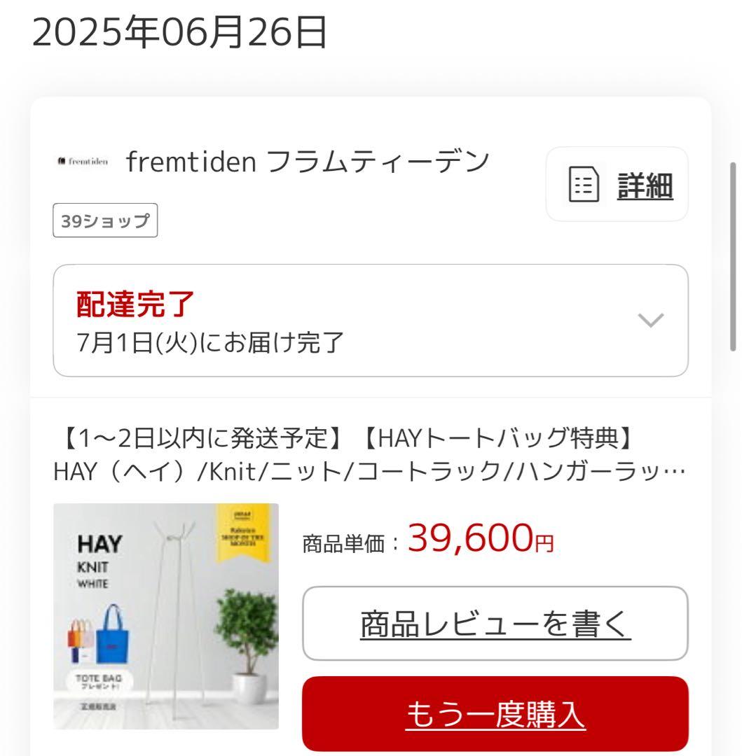 【HAY】 KNIT ホワイト