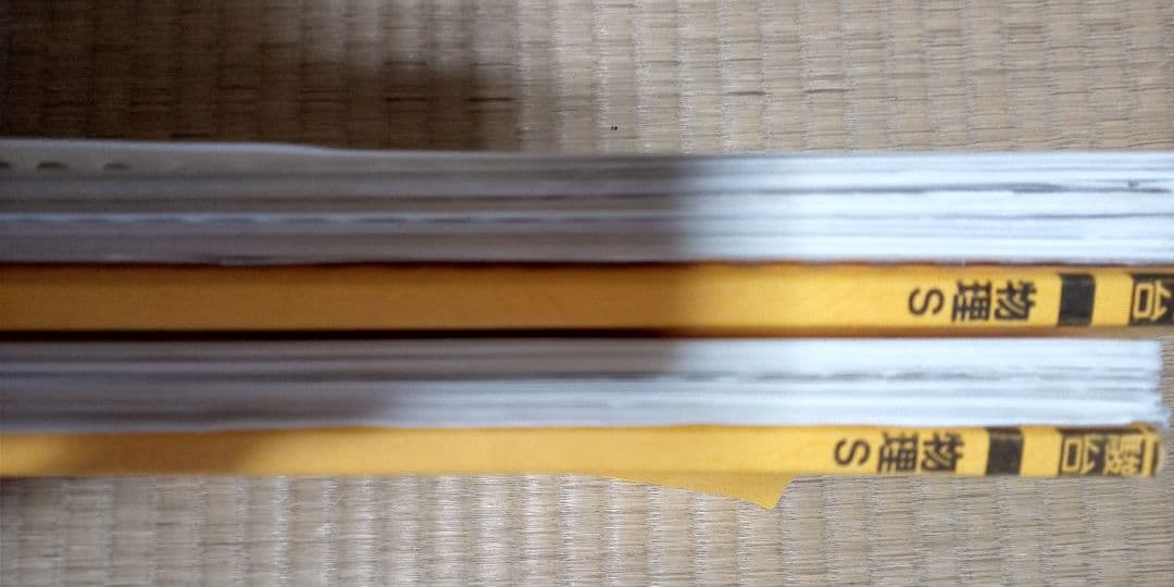 高井隼人 21年度 物理S 前期・後期 通期講習