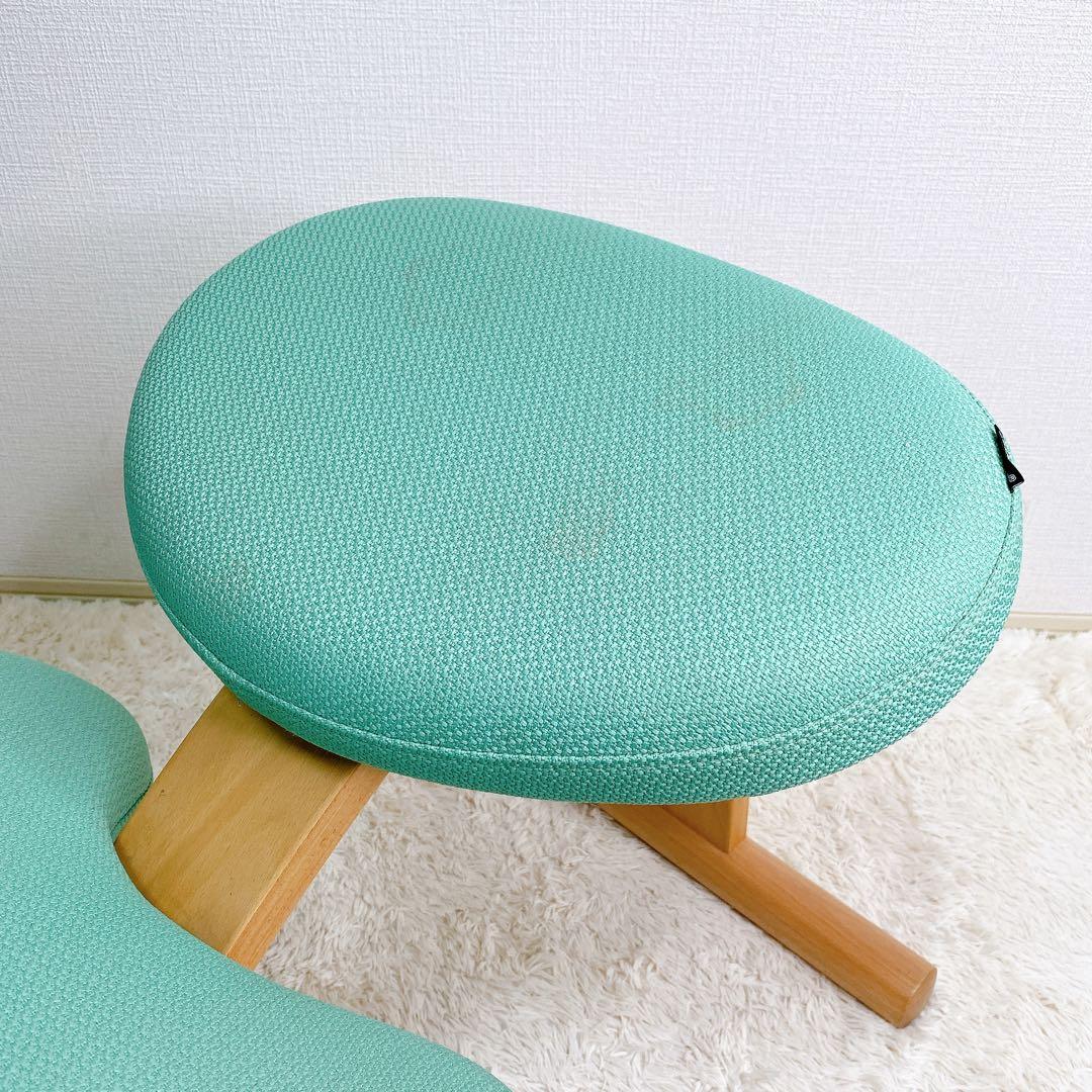 バランスイージー Balans Easy ライトグリーン カバーと六角レンチ付き