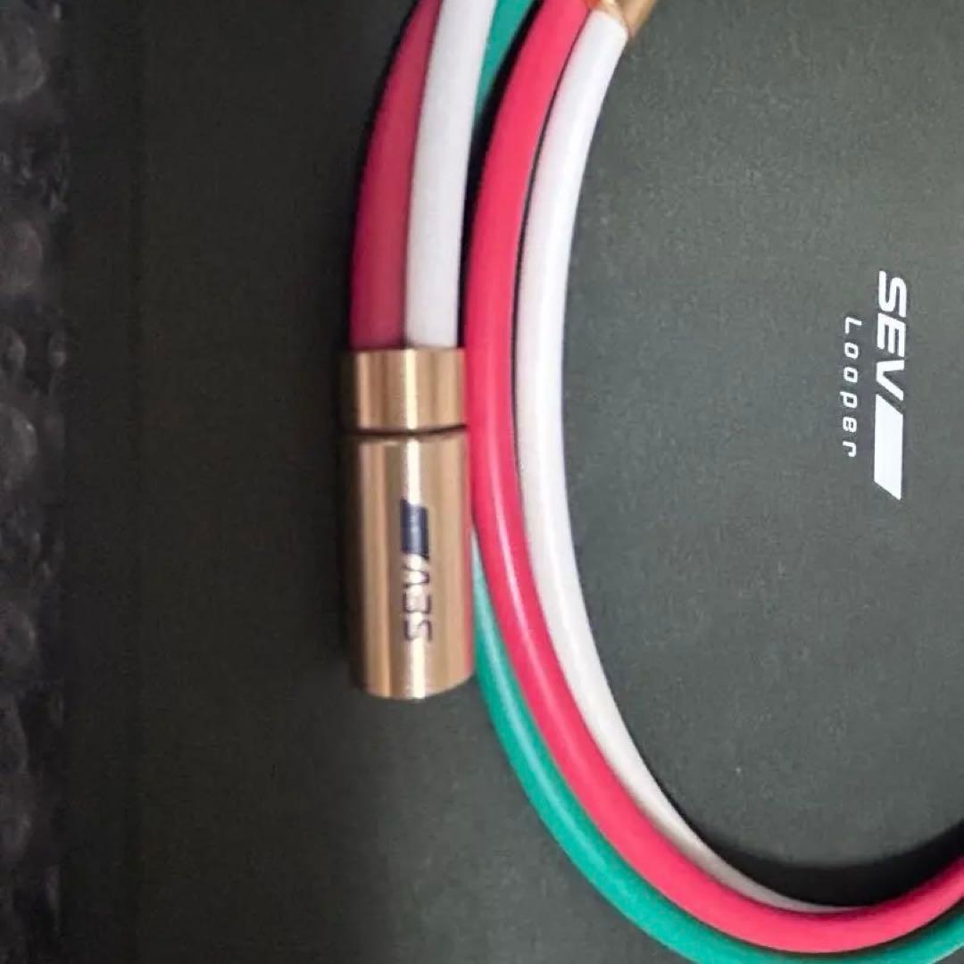 『SEV 』typeG 54cm 赤/白/緑