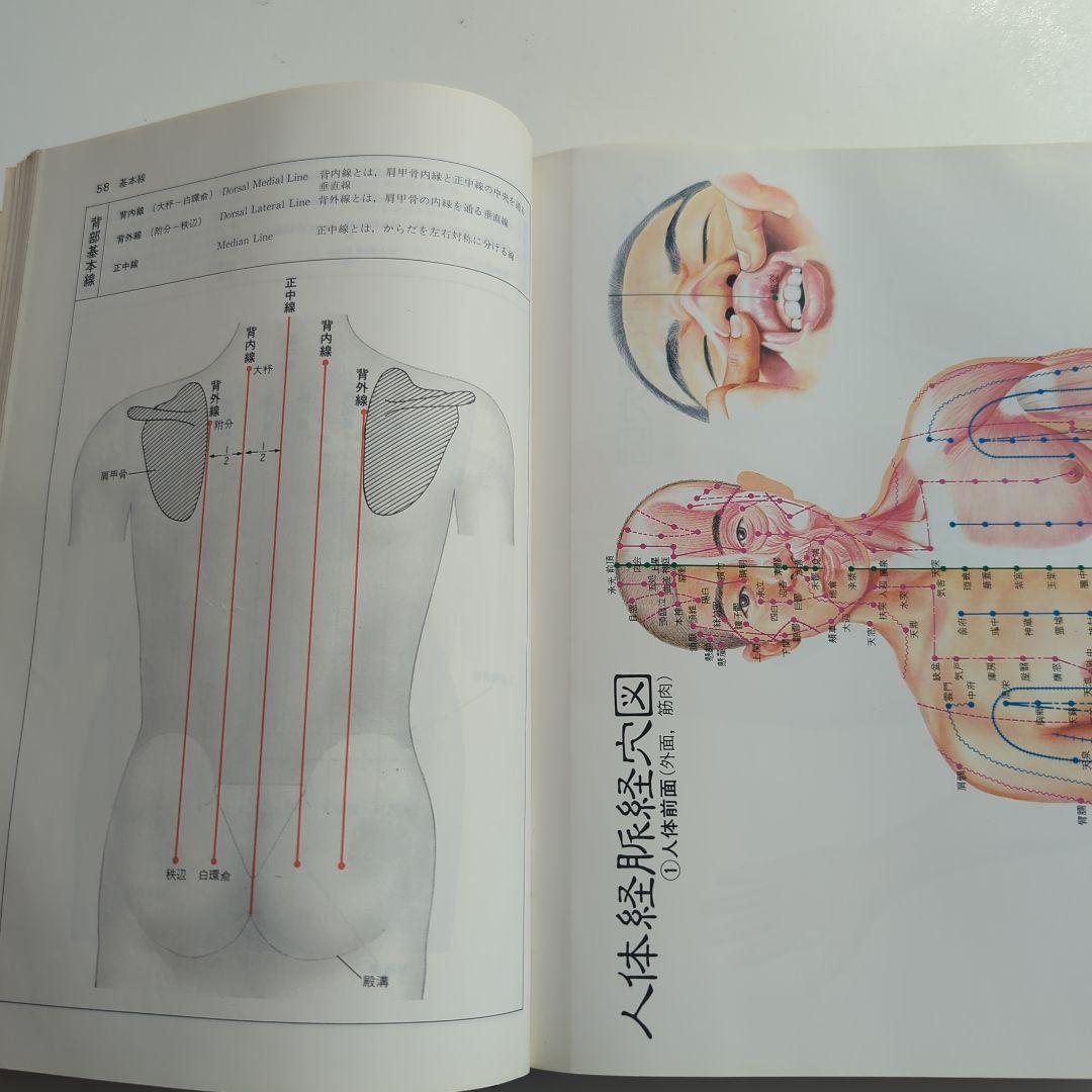 図説 東洋医学 経穴編 代田文彦/木下晴郎