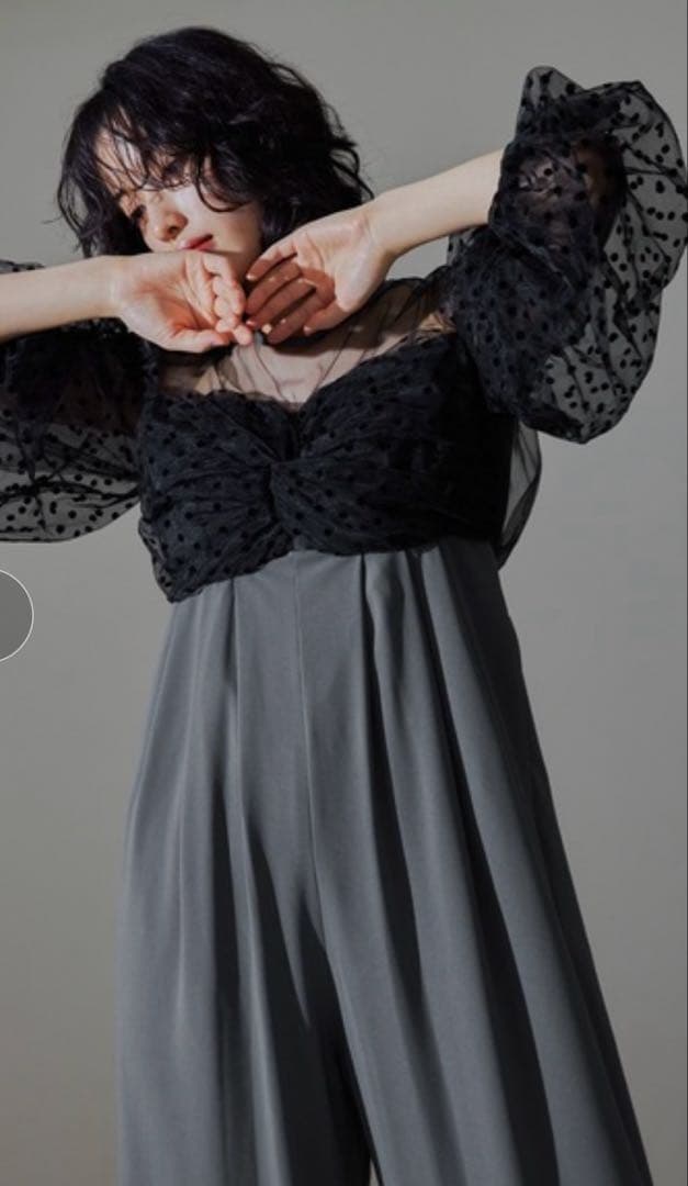 niana ANDRESD グレー オールインワン パーティードレスシースルー袖