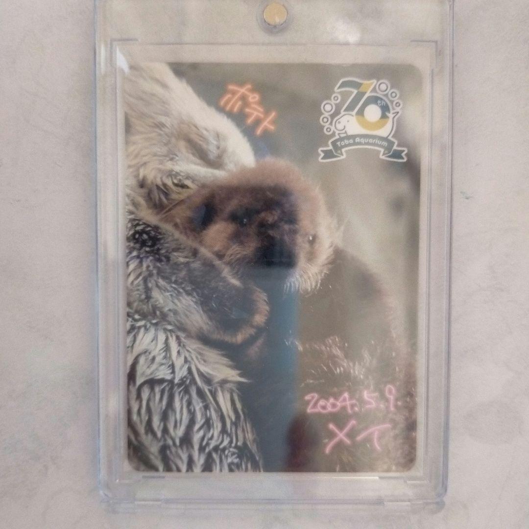 鳥羽水族館 コレクションカード レア レアカード ポテト メイ ラッコ 赤ちゃん