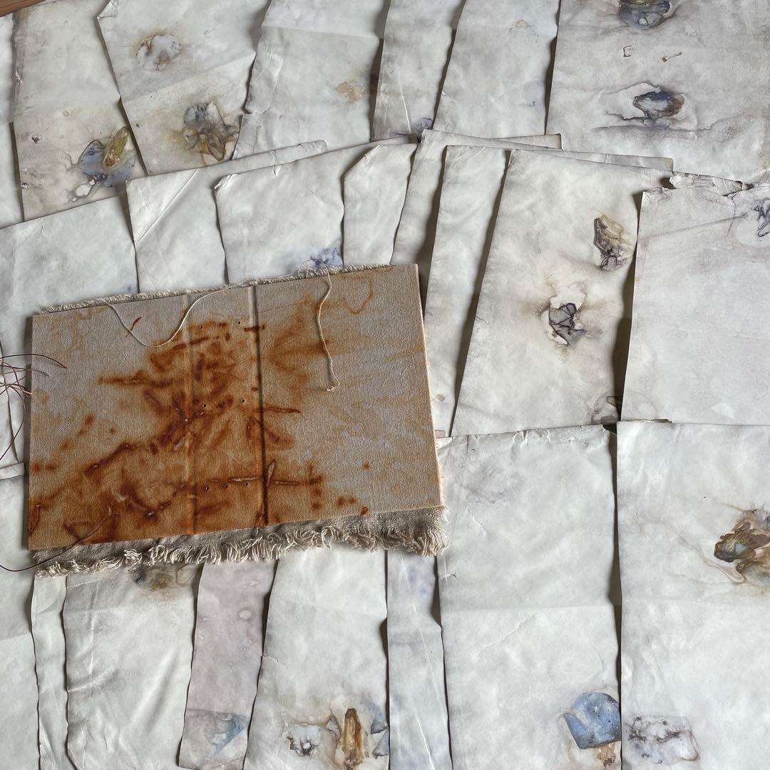 7月20日　ぱおら様2冊　「花ゲリラの本」　 「襤褸の本13〜路地裏の本2〜」