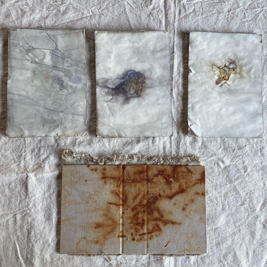 7月20日　ぱおら様2冊　「花ゲリラの本」　 「襤褸の本13〜路地裏の本2〜」