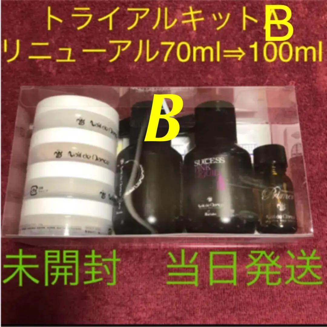 本日更に値下げ！ネイルダンストライアルキットTypeB