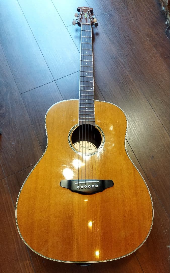 モーリス morris tornado トルネード　TX エレアコ　日本製