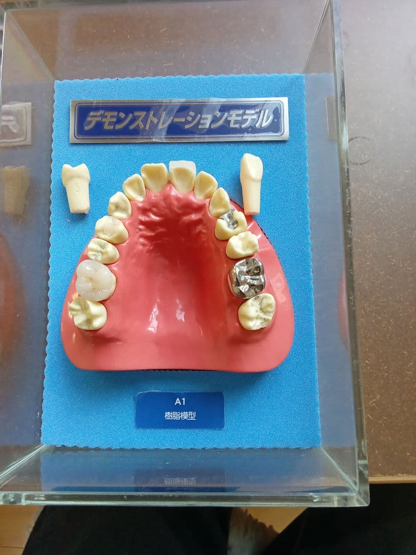 デモンストレーションモデル A1