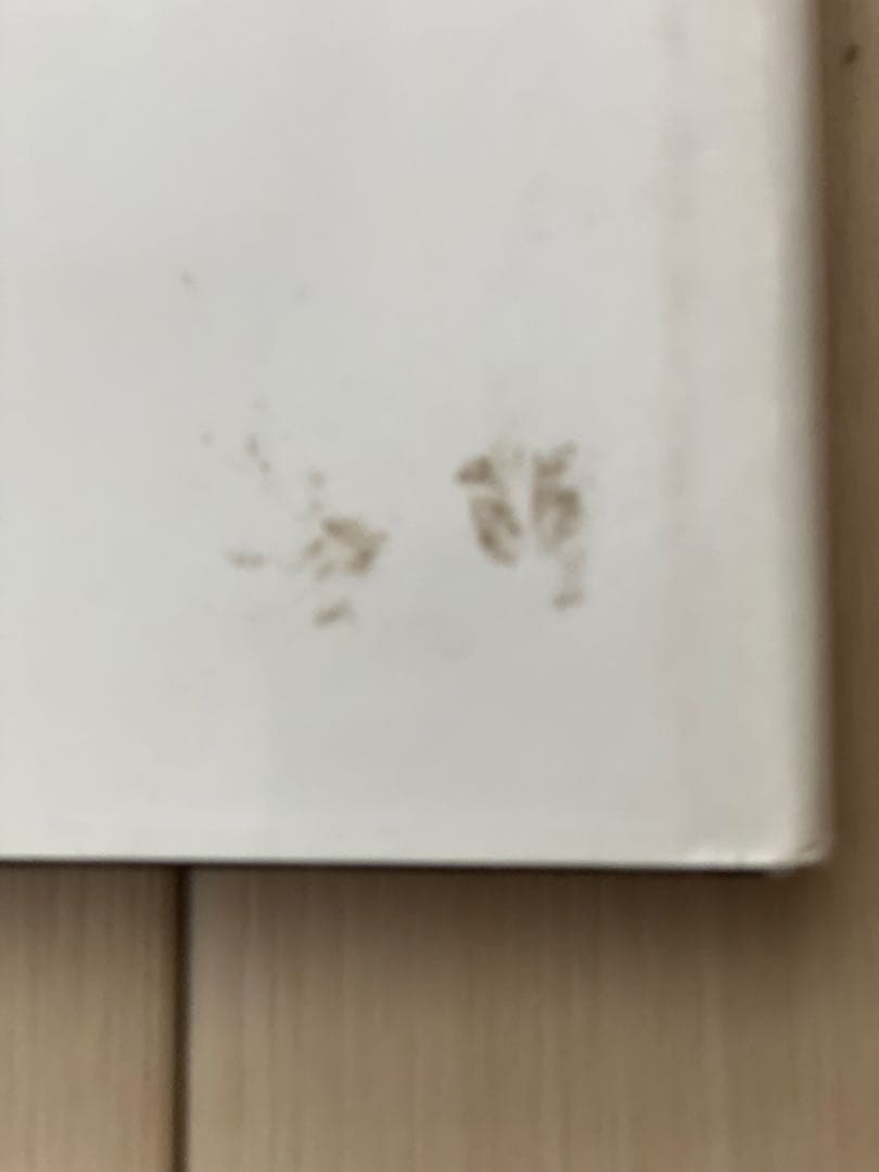 FINS & FIFTIED 洋書 キャデラック