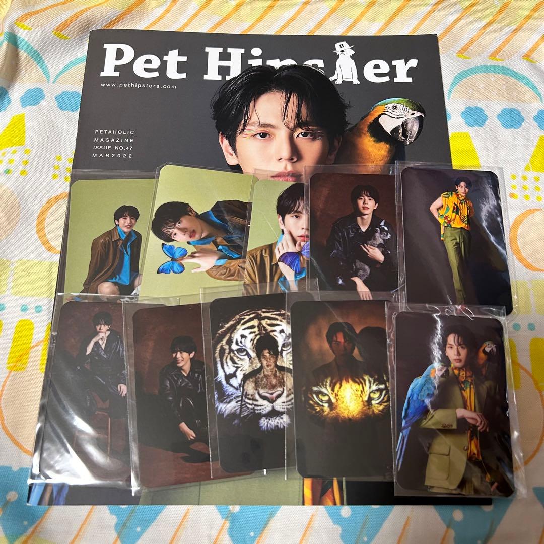 up poompat Pet Hipster 雑誌