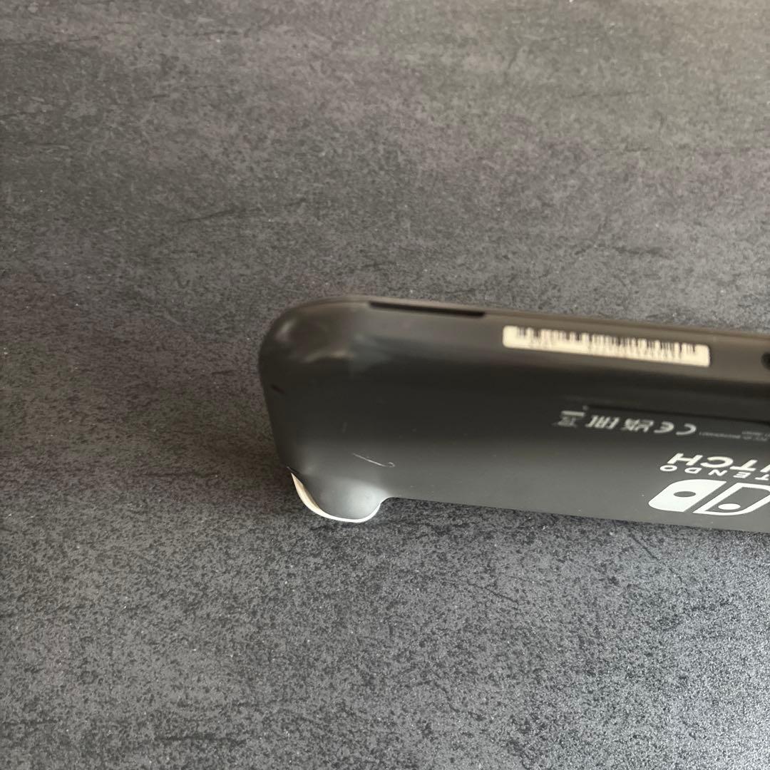 Nintendo Switch Lite 本体のみ ジャンク品